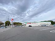 スギドラッグ 泉田中店（1174m）