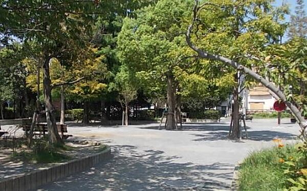 周辺を拡大表示
