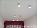 天井にはスタイ...