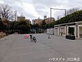 中青木公園手入...