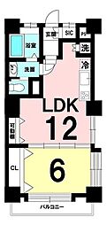 川口ファミリーマンション 1LDKの間取図画像