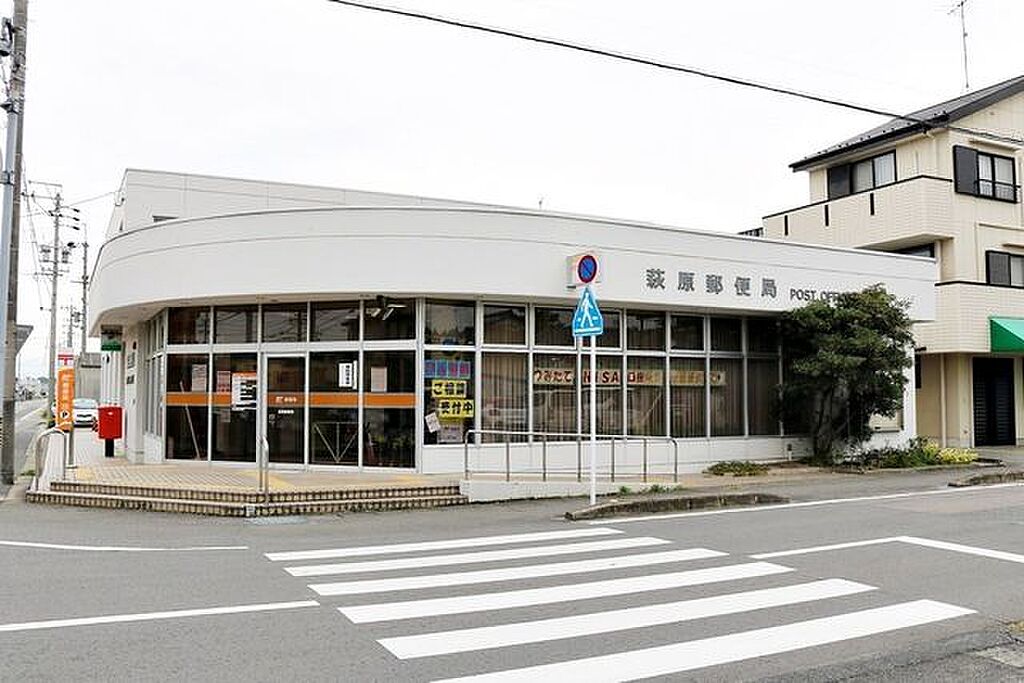 Image 19
