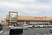 ヨークフーズ秦野緑町店（711m）