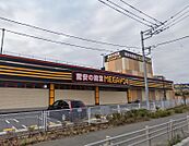 MEGAドン・キホーテ秦野店（700m）