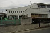 大磯町立国府小学校（222m）