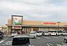 周辺：ヨークフーズ秦野緑町店（711m）