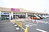 周辺：マックスバリュ エクスプレス 厚木下荻野店（495m）