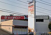 ロピア秦野店（878m）