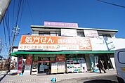 シオンドラッグ大磯国府薬局（314m）