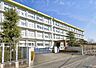 周辺：平塚市立山下小学校（141m）