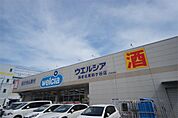 ウエルシア海老名東柏ケ谷店（782m）