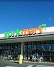 ヨークマート 辻堂太平台店（279m）