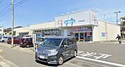 ウェルシア平塚真田店（149m）