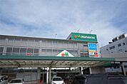 maruetsu（マルエツ） さがみ野店（798m）