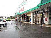 オータニ　野木店
