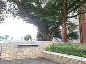 下野市立国分寺中学校