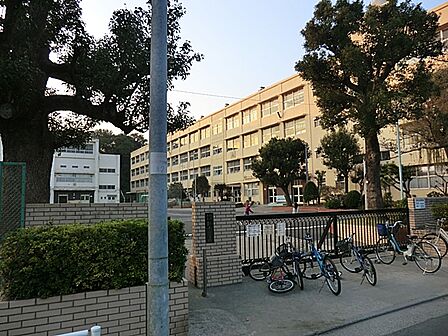 横浜市立新井小学校60m