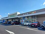 フジ 志津川店