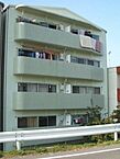 愛媛県松山市和泉北1丁目：物件画像／株式会社日本エイジェント　いい部屋ネット道後愛大前店