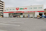 くすりのレデイ 道後緑台店