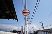 高尾田