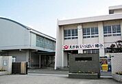 松山市立椿小学校 