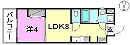 GRACEDEUXIEME 1LDKの間取図画像