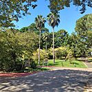 山王公園 660m