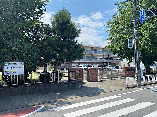 周辺を拡大表示