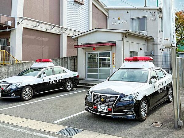 周辺を拡大表示