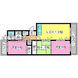 ディナスティ 3LDKの間取図画像