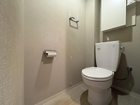落ち着いたグレートーンでまとめたトイレ空間!シンプルながらも上質感のあるデザインです!