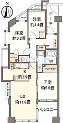 ハイホーム武蔵関