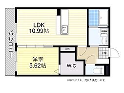 SOLID HATAKENKA 1LDKの間取図画像