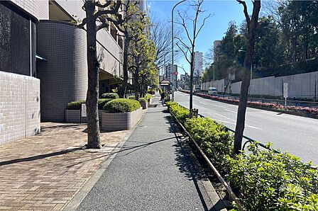 敷地西側の前面道路(北側から)