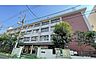 周辺：石浜小学校[公立]の外観