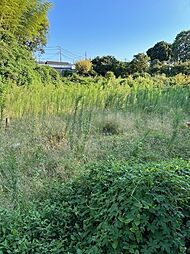 物件画像 やんもの里売地