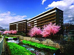 物件画像 エージングコート有馬