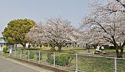 中津公園