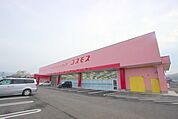 ディスカウントドラッグコスモス志度店