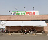 新鮮市場きむら香西店