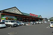マルヨシセンター国分寺店