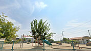 木太新開公園