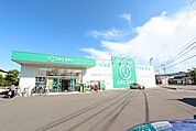 ザグザグ上福岡店