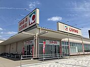 オークワ 900m