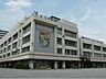 周辺：江東区立第四大島小学校（290m）