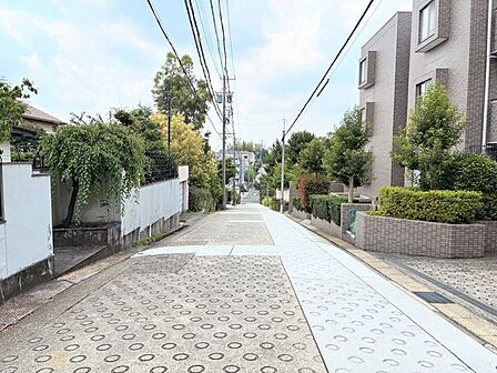 交通量の少ない道路です