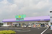 Welpark（ウェルパーク） 海老名かしわ台店（808m）