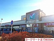 ヨークマートまで800m