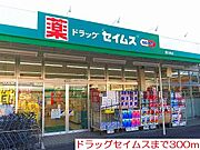ドラッグセイムスまで300m